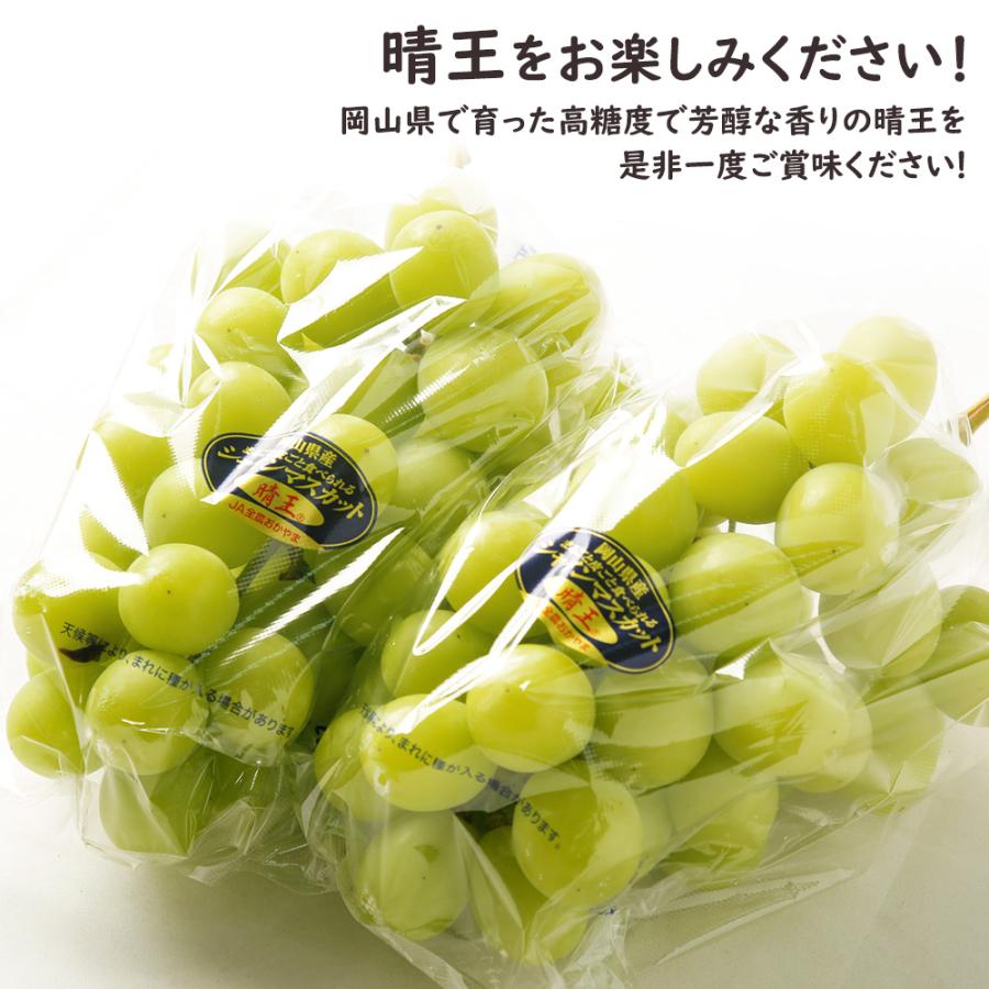 岡山県産 晴王　6〜7房 約5kg　秀品　 ※クール便発送 ケース 箱売り シャインマスカット 晴王 マスカット ぶどう 岡山