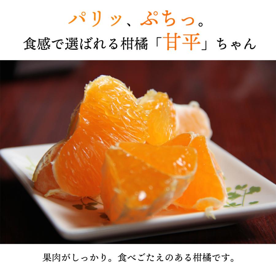 箱売り 甘平 かんぺい みかん 愛媛 オレンジ かんきつ 柑橘 フルーツ