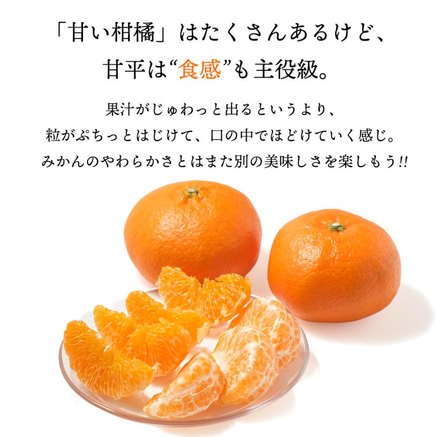 箱売り 甘平 かんぺい みかん 愛媛 オレンジ かんきつ 柑橘 フルーツ