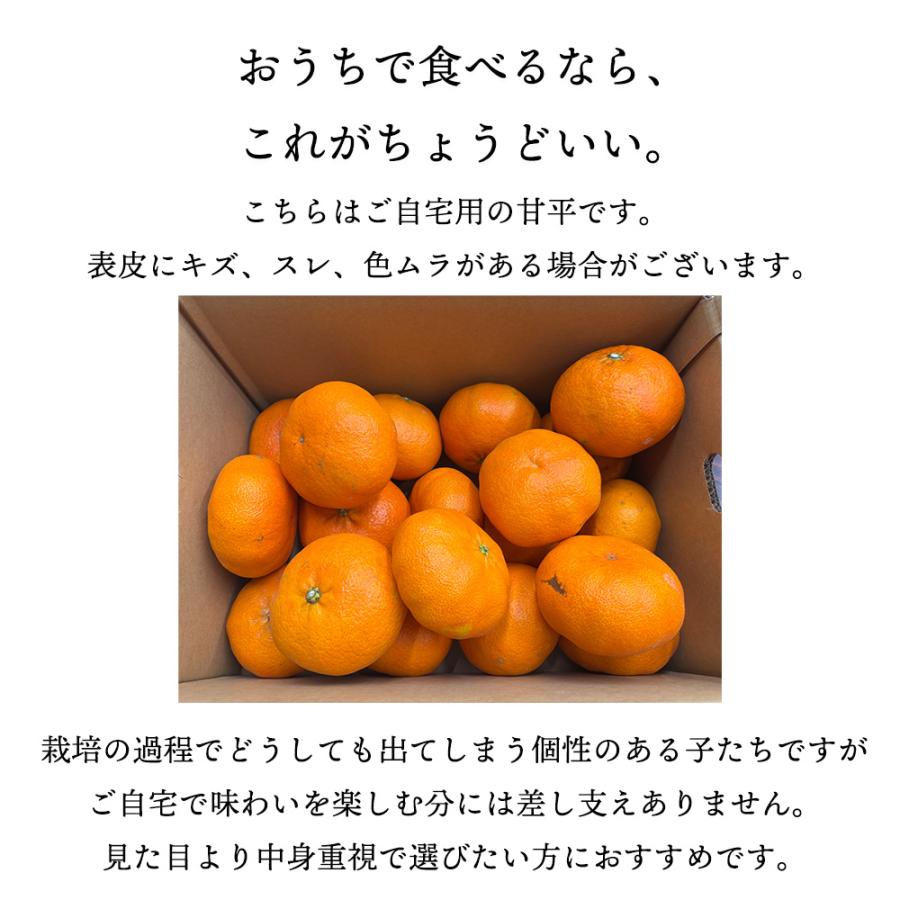 箱売り 甘平 かんぺい みかん 愛媛 オレンジ かんきつ 柑橘 フルーツ