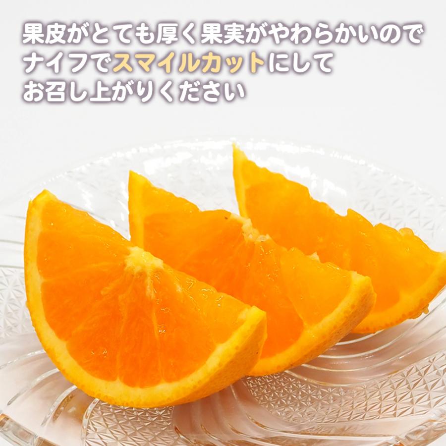 新堂「新清」清見オレンジ赤秀品2L10キロ 新堂「新清」清見オレンジ赤秀品2L10キロ 清見オレンジ オレンジ