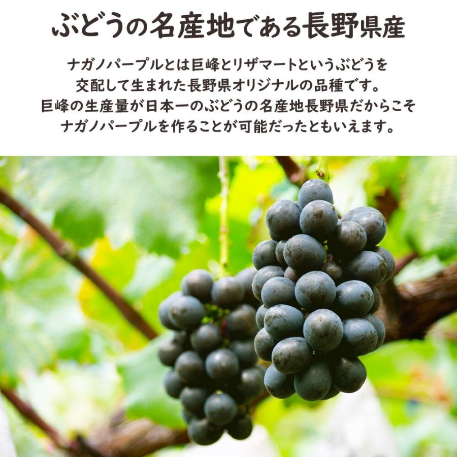 ケース 箱売り 長野 ナガノパープル 8〜12房 約5kg ぶどう 高級 大粒