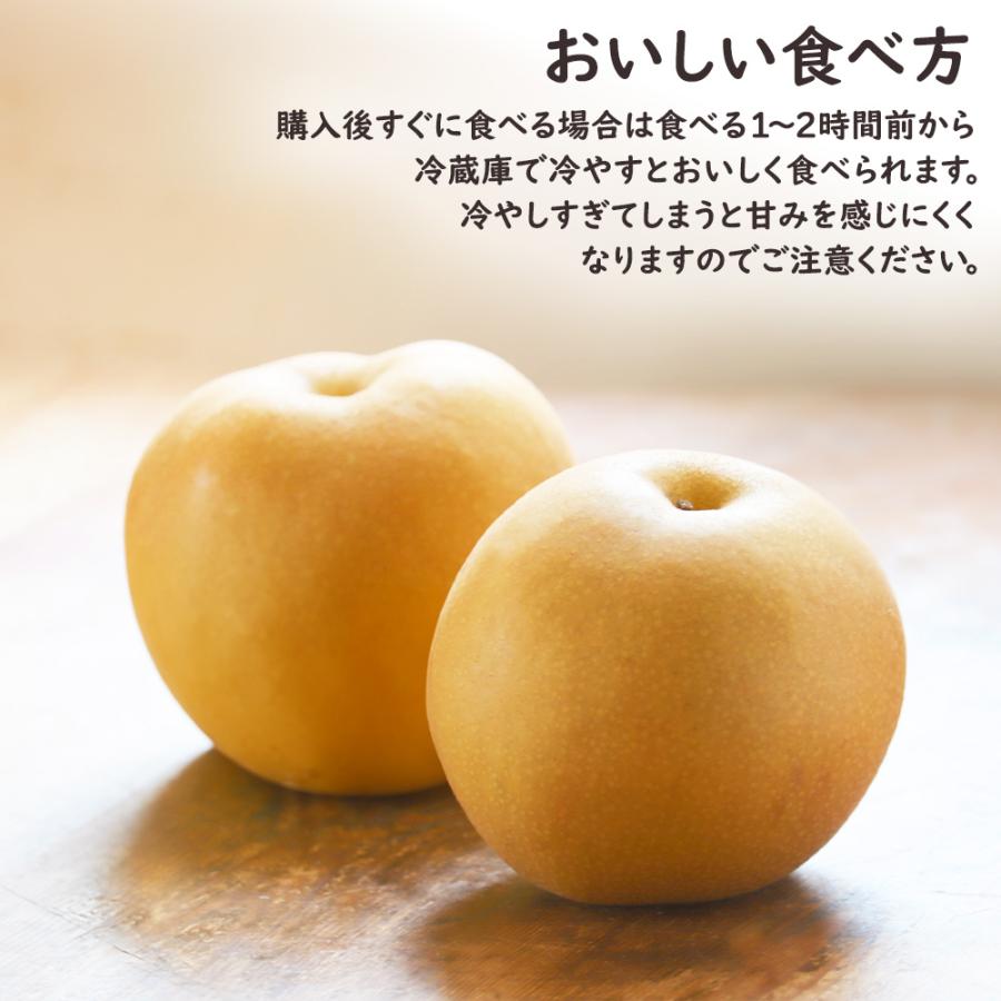 出荷中】ケース 箱売り 新高梨 新高 梨 なし 大玉 和梨 赤梨 フルーツ