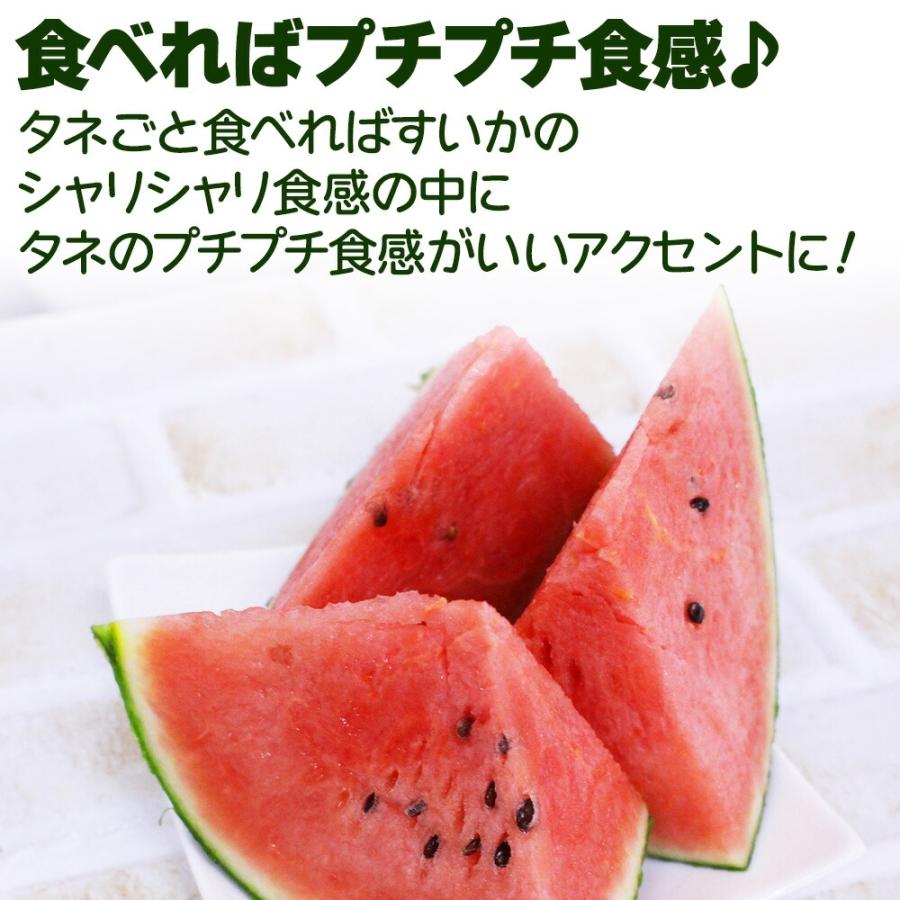 ケース 箱売り すいか 小玉 小玉すいか ピノ・ガール 6玉入り マイクロ