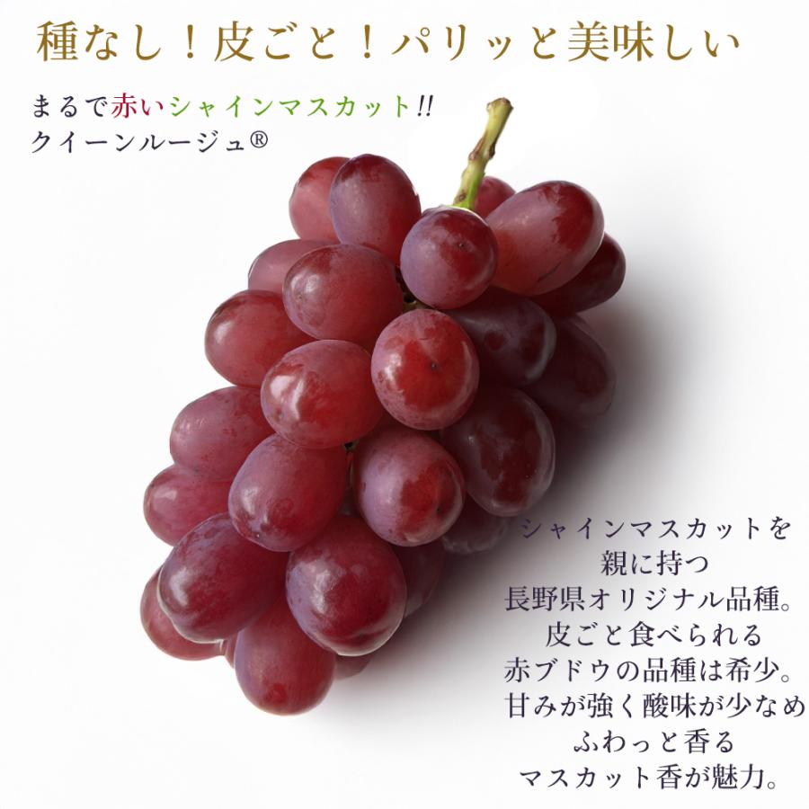 ケース 箱売り 長野 クイーンルージュ 赤ぶどう 赤い シャイン