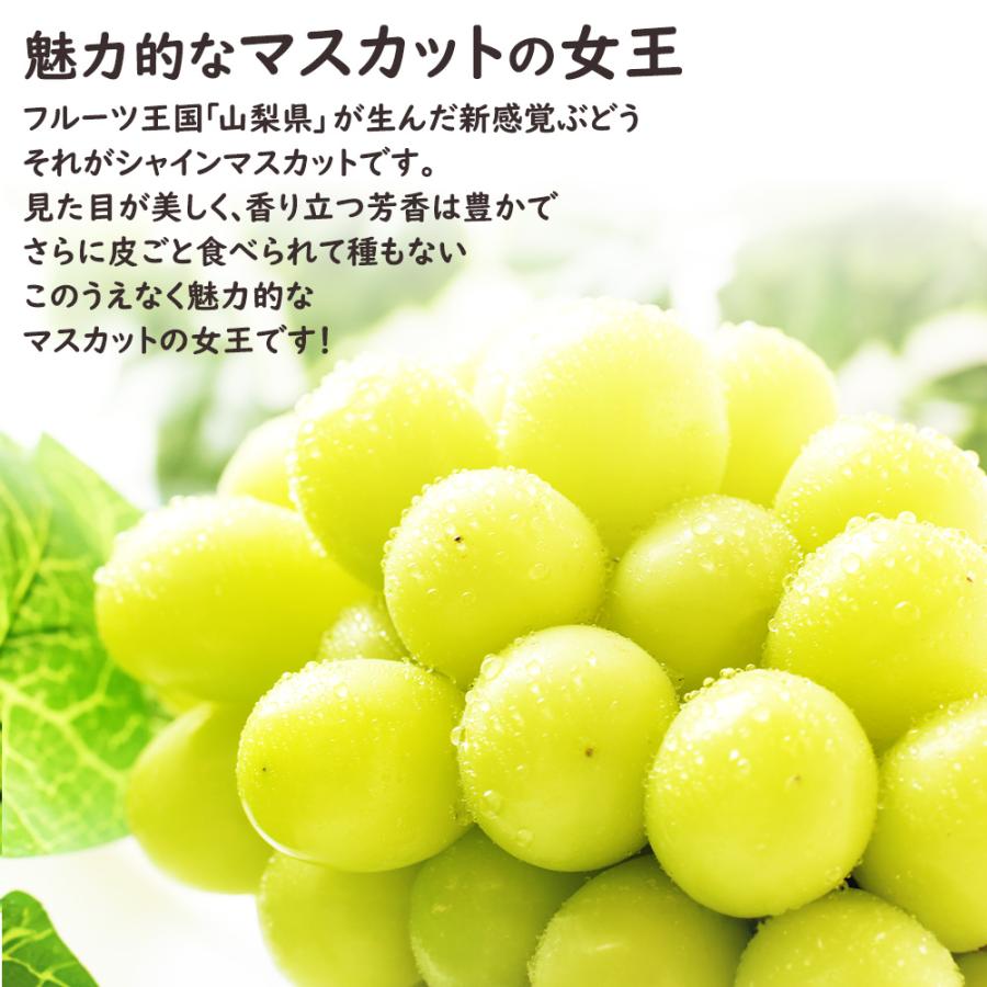 ケース 箱売り 大房 4Lサイズ シャインマスカット 7〜8房 約5kg ぶどう