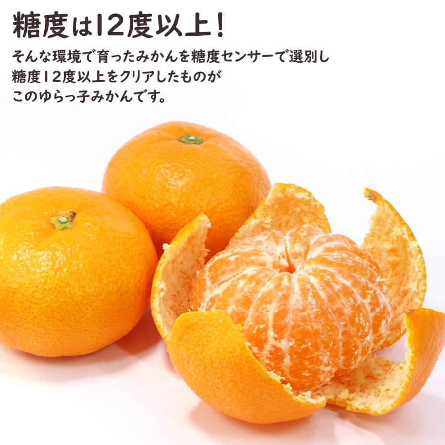 ゆらっ子みかん ケース 箱売り 和歌山 JA紀州 5kg S M ミカン 蜜柑
