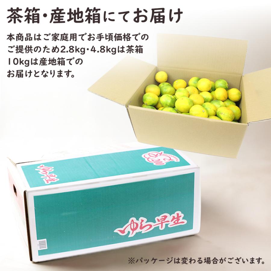 ゆら早生 極早生みかん ゆら 由良 和歌山 みかん ミカン 柑橘 10kg S