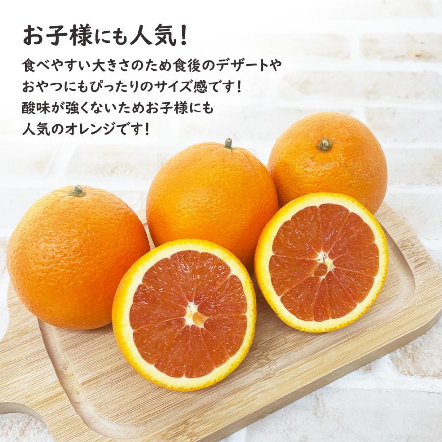 ケース販売 箱売り カラカラオレンジ ピンクネーブル 約15kg 柑橘