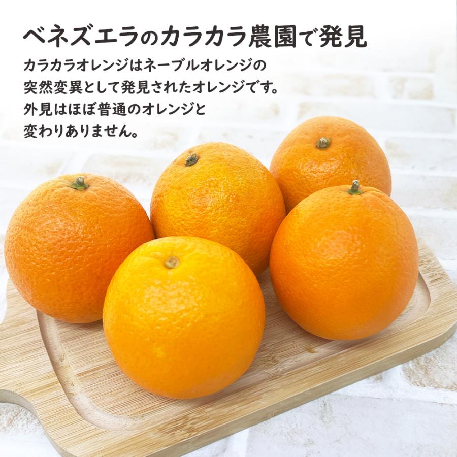 カラカラネーブル 果物 カラカラオレンジ 米カリフォルニア産 カラカラオレンジ 別名ピンクネーブル こだわりフルーツ 手作りスイーツ専門店