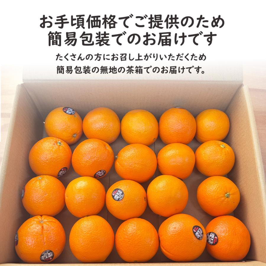 カラカラオレンジ カラカラ ピンクネーブル 15~20玉 約3kg 柑橘