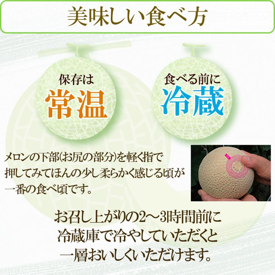 静岡県産★クラウンメロン★白クラスのA品★1玉1.5〜1.6kgギフト非対応 クラウンメロン【並(白等級)】特大玉(1.5kg前後)1玉入り │ 静岡