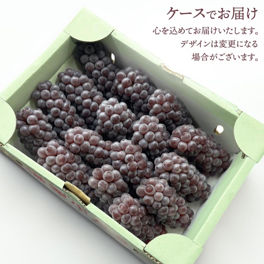デラウェア でらうぇあ 小粒 12〜17房 約2kg 山梨県産 ぶどう ブドウ