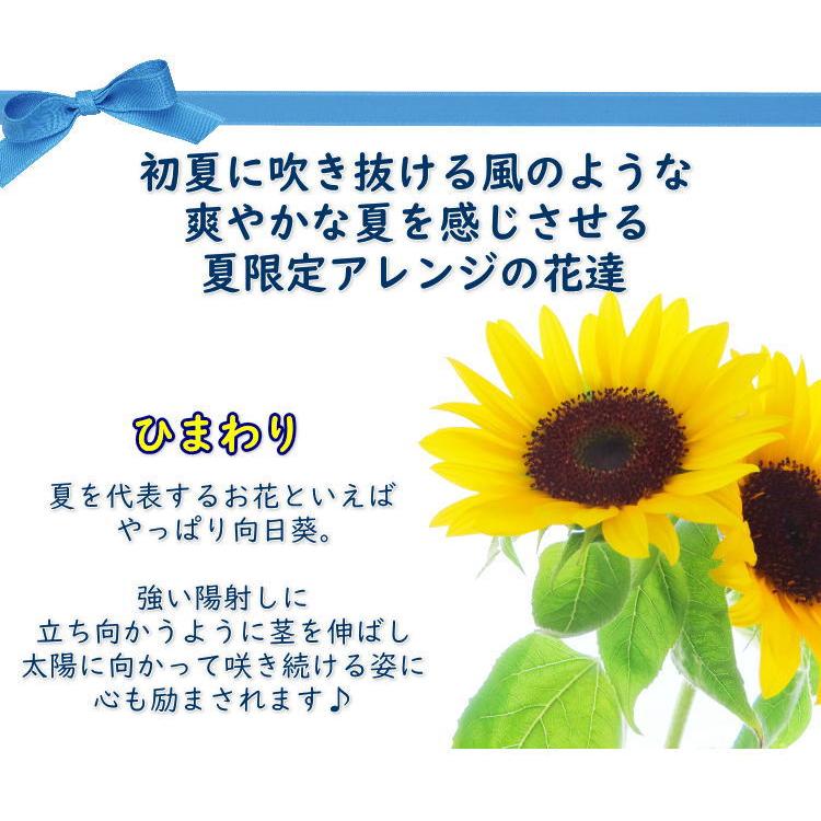 2024 父の日 ギフト 送料無料 ひまわり 生花 サマー フラワーアレンジメント お誕生日や各種お祝いにも！暑気払い お祝い フラワーギフト Lサイズ｜honmamonya｜03