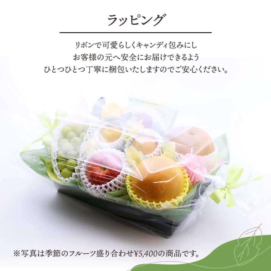 フルーツギフト フルーツ 果物 盛り合わせ 画像配信 即日発送 花