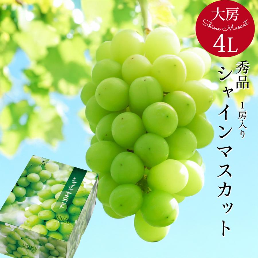 大房 4Lサイズ シャインマスカット ぶどう ギフト 贈答 敬老の日