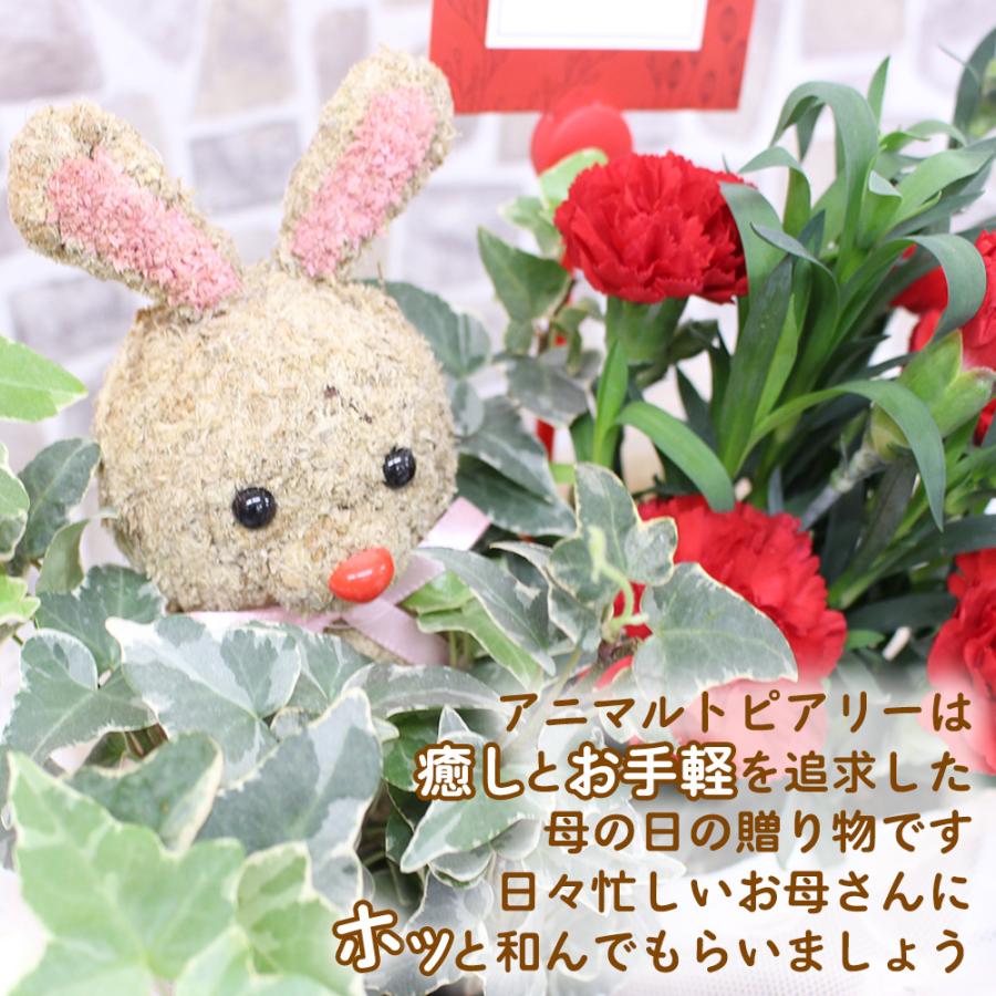 ◆オーダー用◆ダイカット ウサギ ネコ トッパー 花束 カーネーション 母の日 母の日 カーネーション アニマルトピアリー 花 鉢植え くま うさぎ