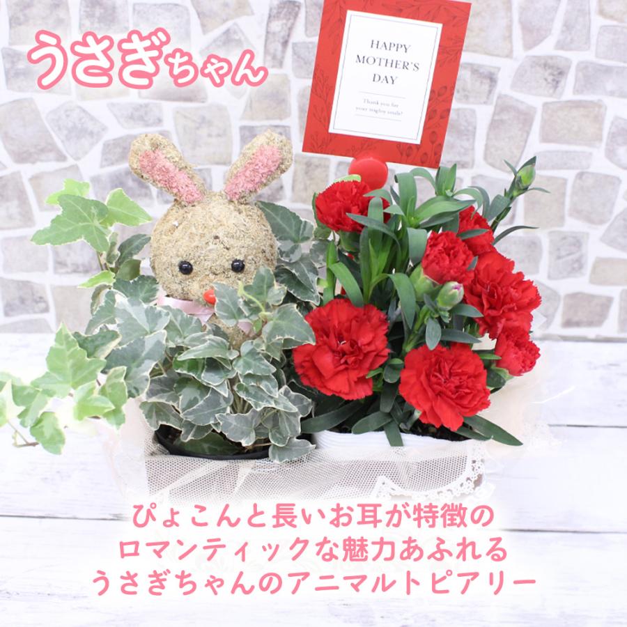 母の日 カーネーション アニマルトピアリー 花 鉢植え くま うさぎ