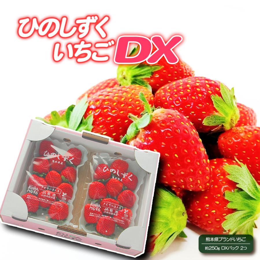熊本県産 いちご ひのしずく 約250g DXパック 2個セット 苺 イチゴ