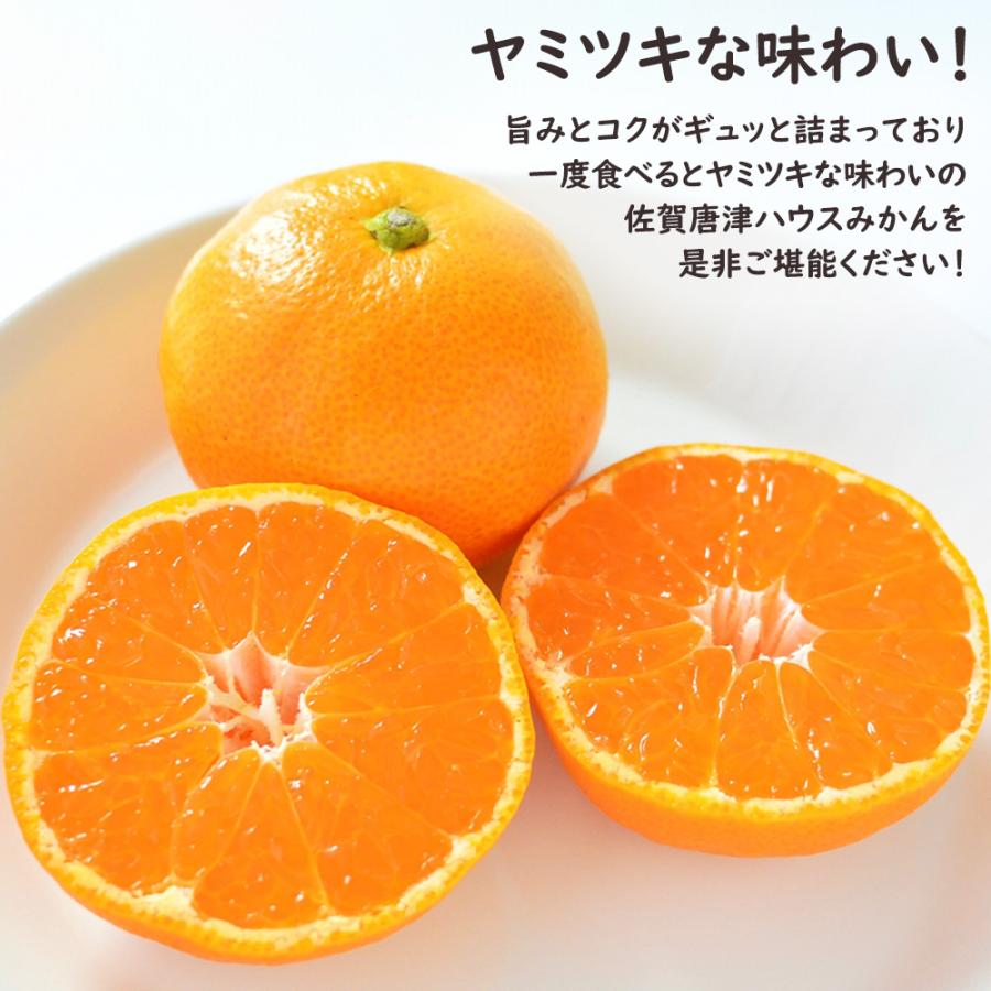 予約】佐賀県産 佐賀唐津ハウスみかん 2kg 唐津 ハウスみかん みかん
