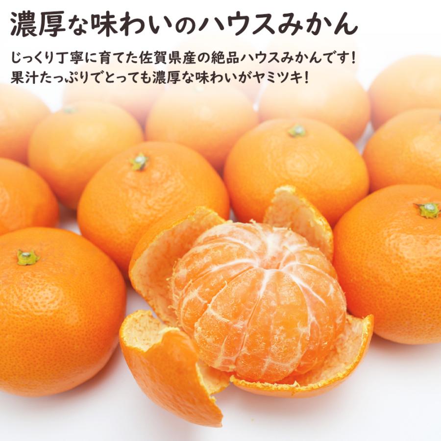 「あかつき」桃「ハウスみかん」冷蔵発送 ハウスみかん 温室みかん みかん ミカン 蜜柑 30〜36玉 約1.6kg 佐賀県