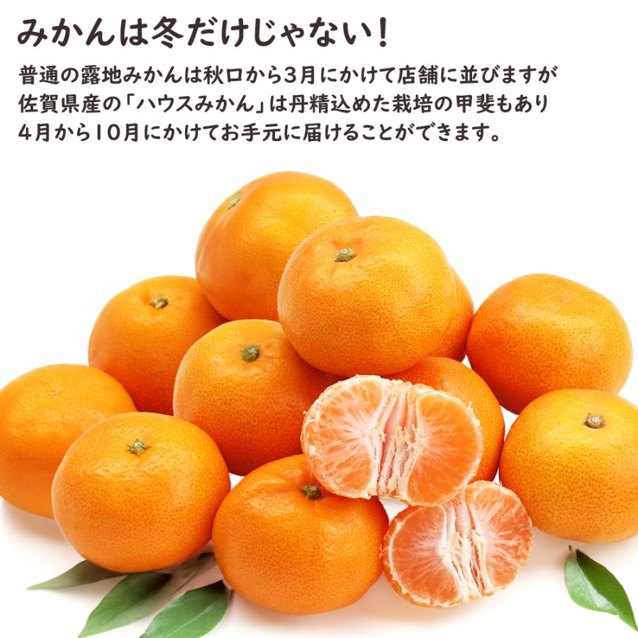 ハウスみかん 温室みかん みかん ミカン 蜜柑 30〜36玉 約1.6kg 佐賀県