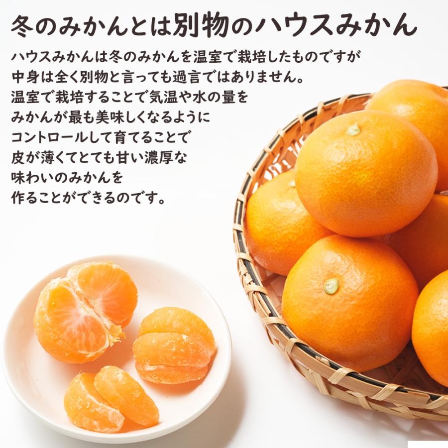 ハウスみかん 温室みかん みかん ミカン 蜜柑 30〜36玉 約1.6kg 佐賀県