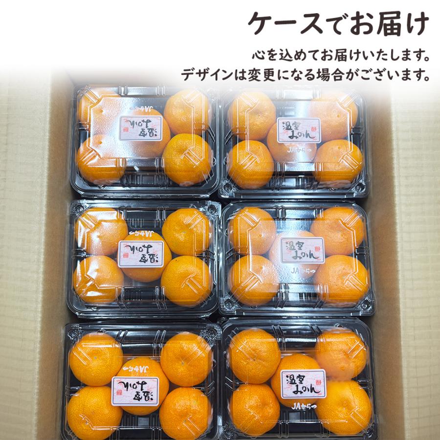 ハウスみかん 温室みかん みかん ミカン 蜜柑 30〜36玉 約1.6kg 佐賀県