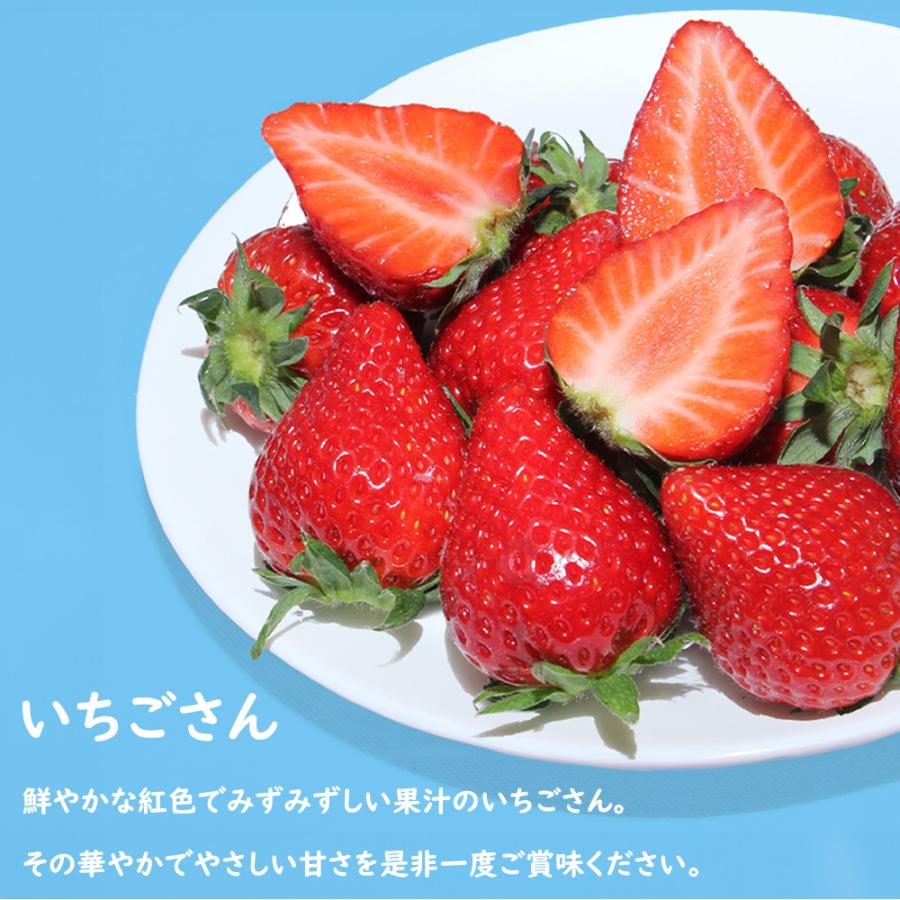 発送中／ いちごさん いちご イチゴ 苺 佐賀 果物 フルーツ ギフト