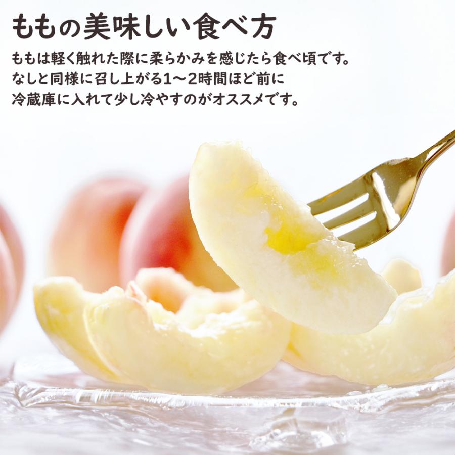 シャインマスカット 梨 桃 敬老の日 マスカット なし もも フルーツ