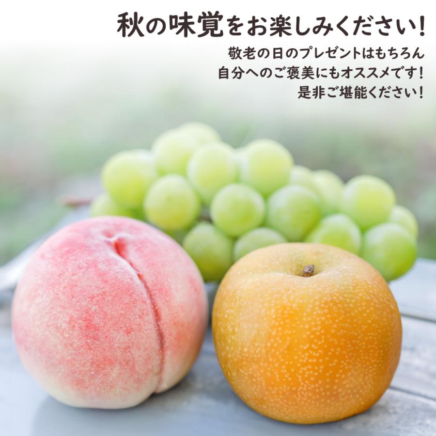 シャインマスカット 梨 桃 敬老の日 マスカット なし もも フルーツ