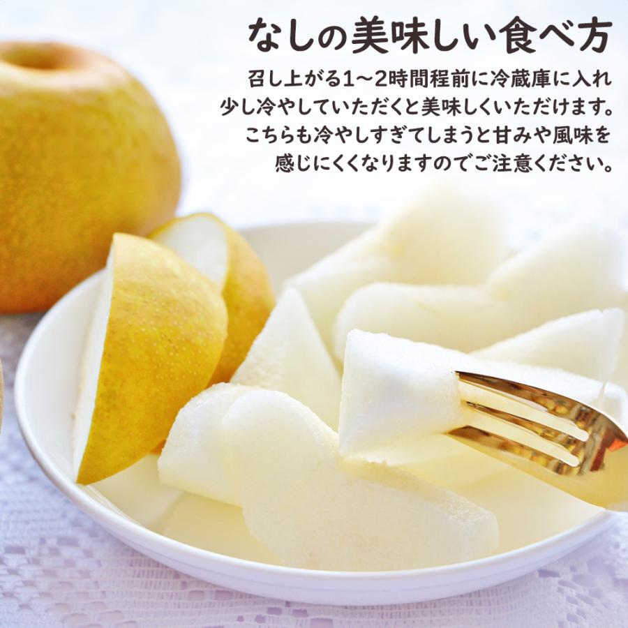シャインマスカット 梨 桃 マスカット なし もも フルーツ プレゼント