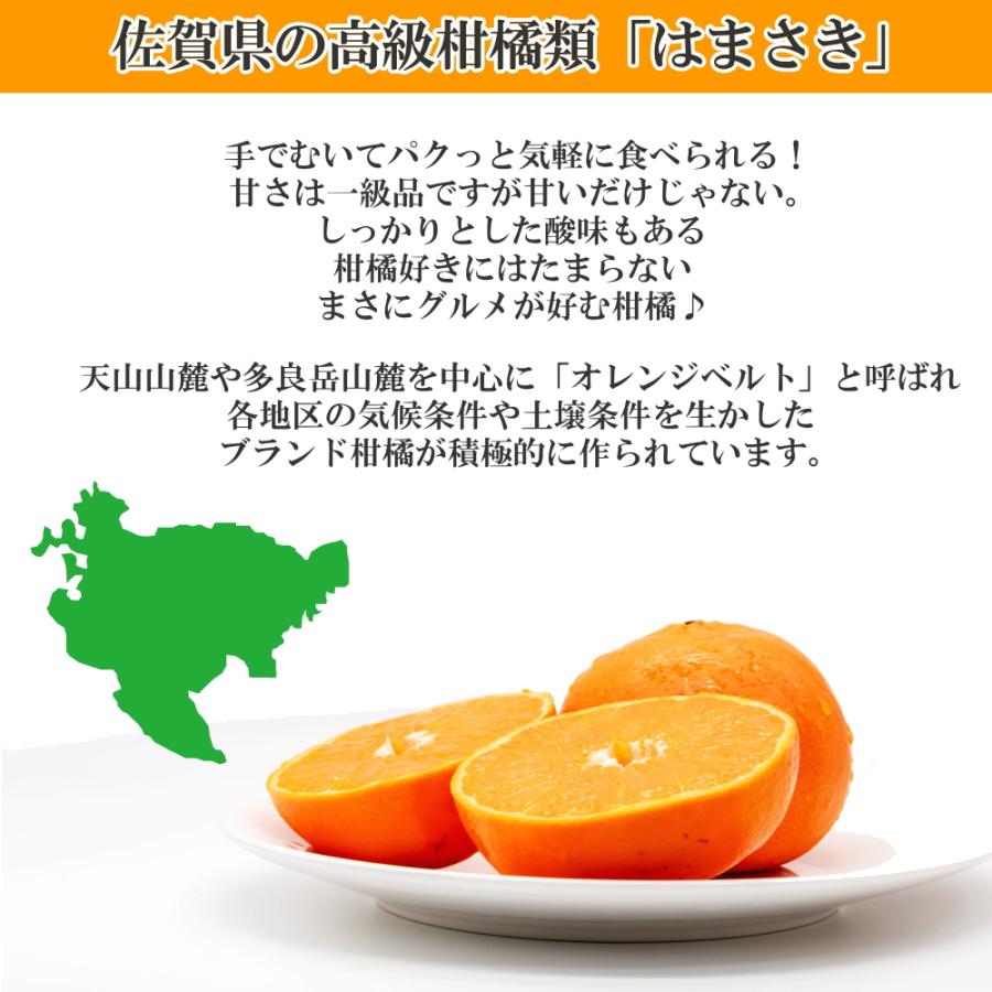 2箱セット贈答用　麗紅LL-M 4kg せとか姉妹品種　甘く濃い味が特徴 honmamonya_k-hamasaki-01