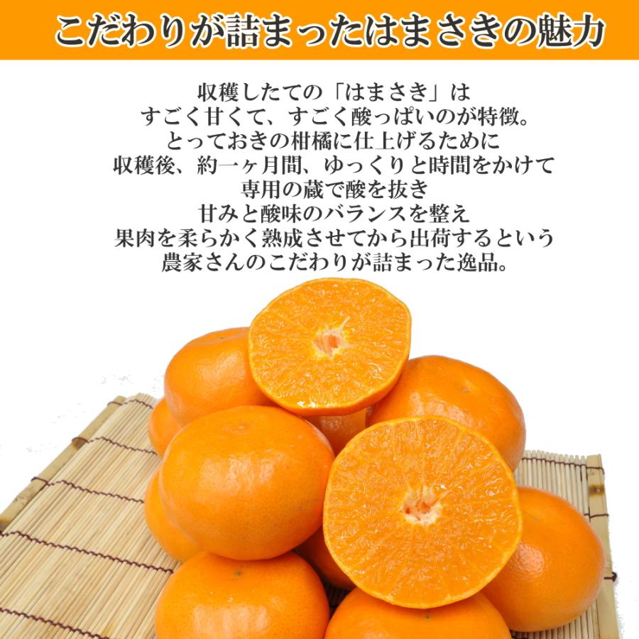 はまさき 佐賀県産 せとか の姉妹品種 柑橘 みかん 唐津 果物 麗紅 れ