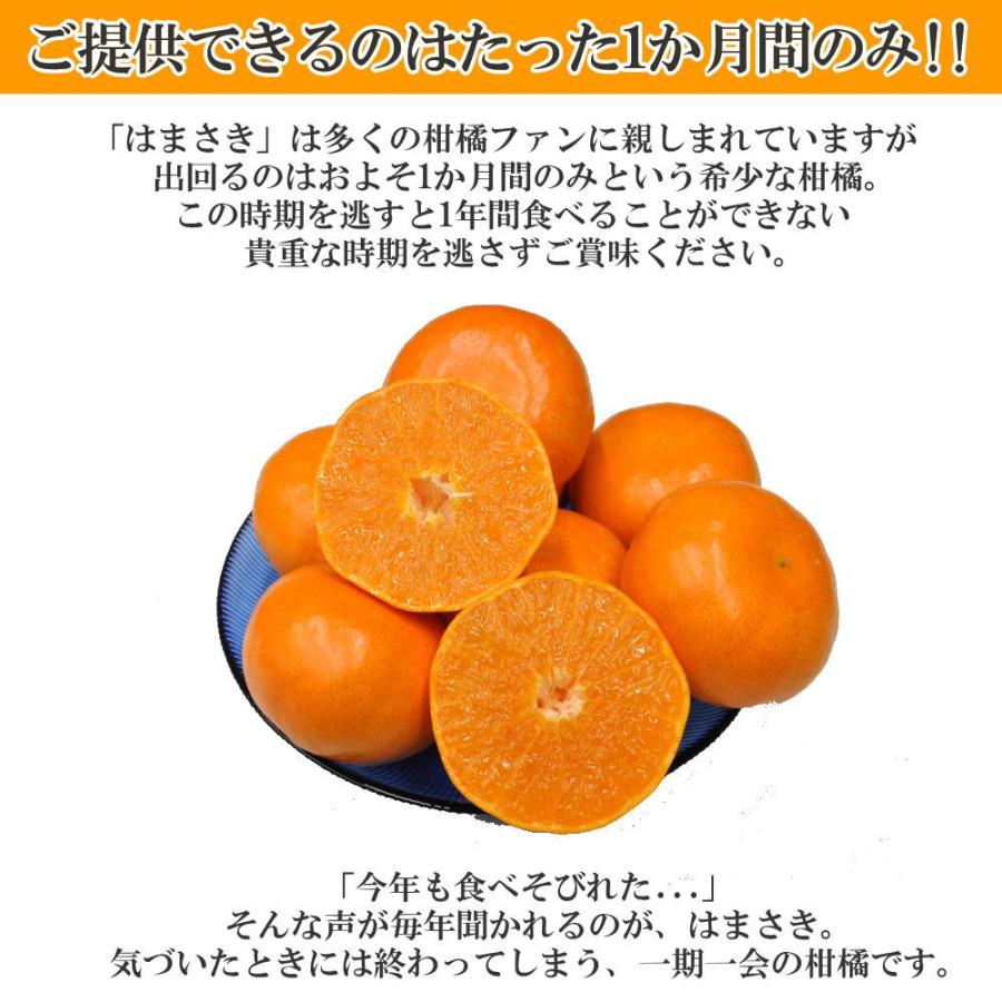 2箱セット 訳あり麗紅 S-M 4kg送料無料　和歌山せとか姉妹品　甘くて濃い味 2026年最新】Yahoo!オークション -せとか みかんの中古品・新品・未