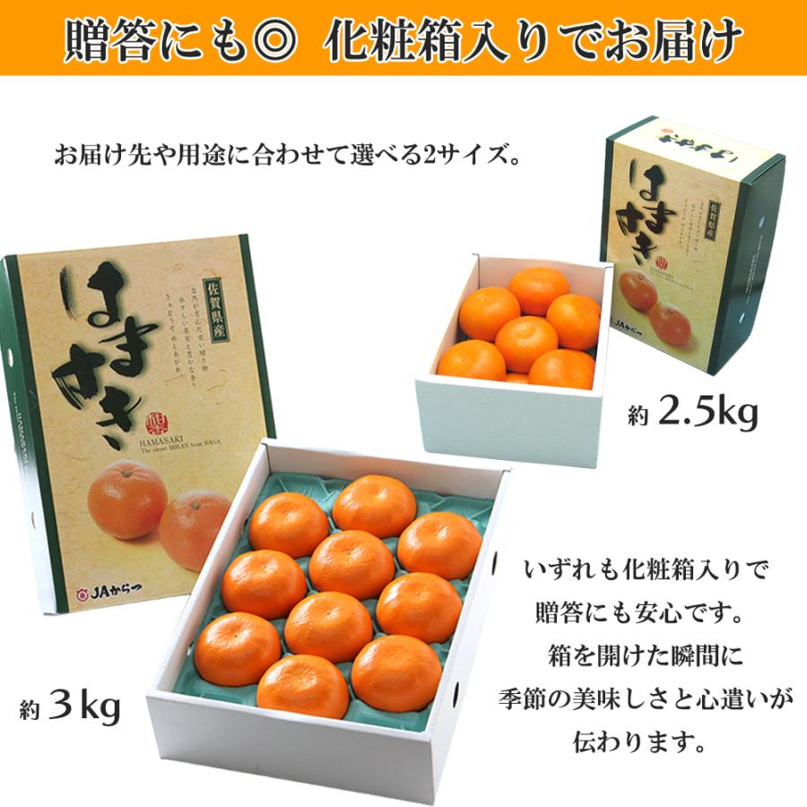 はまさき 佐賀県産 せとか の姉妹品種 柑橘 みかん 唐津 果物 麗紅 れ