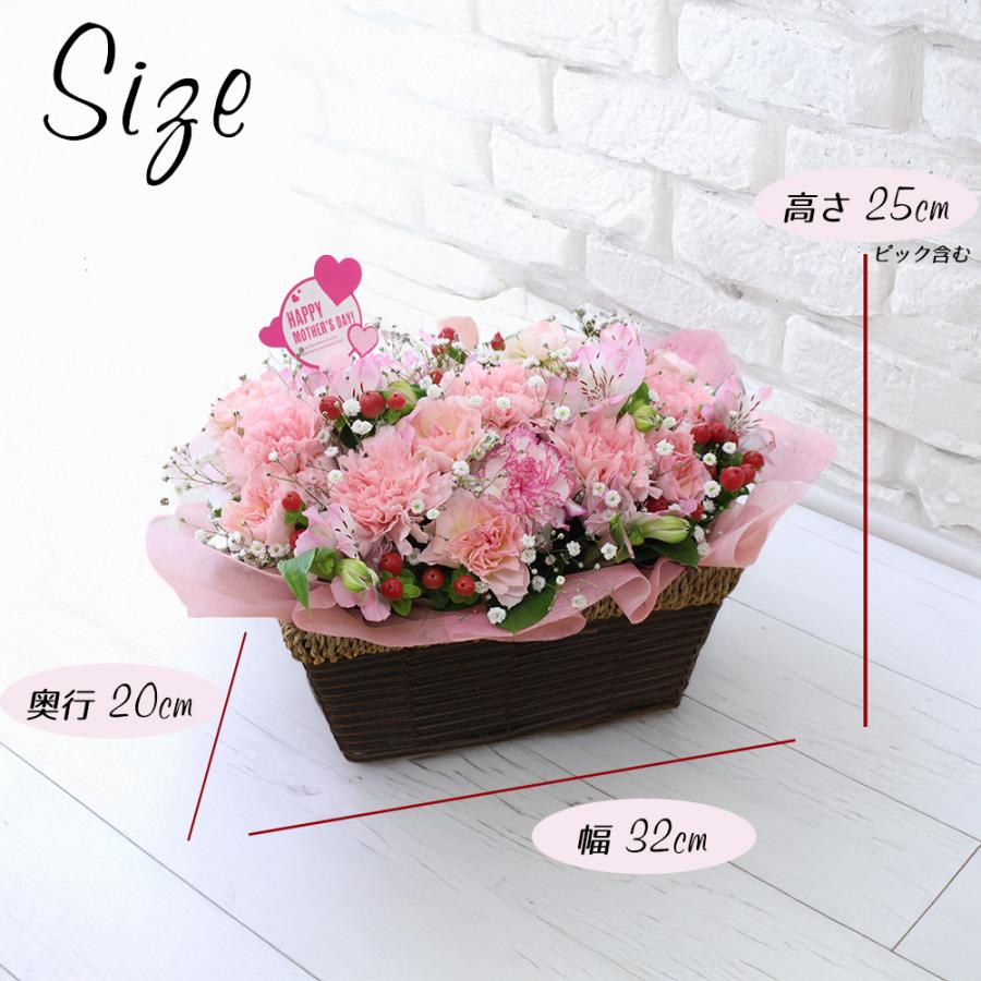 遅れてごめんね 2026 母の日 花 カーネーション アレンジメント 生花