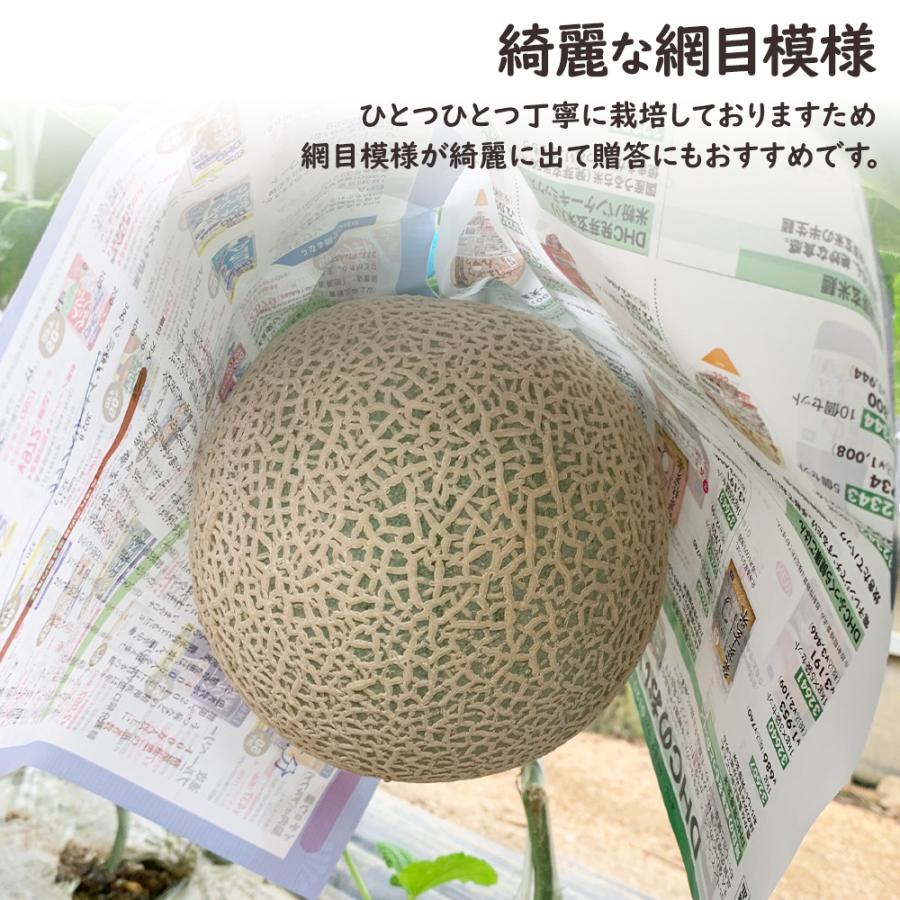 産地直送 和歌山県産 アールスメロン 1玉1.5kg以上 高級メロン 糖度15