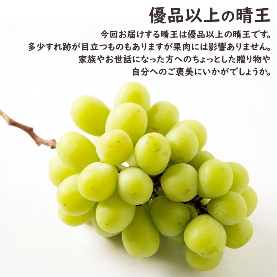 岡山県産 シャインマスカット 晴王 3房 約1.5kg マスカット
