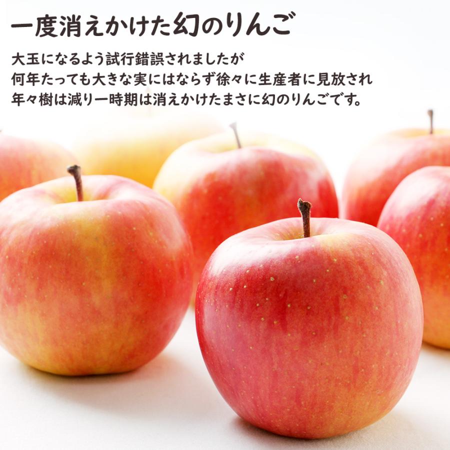 青森県 こみつりんご 約2kg 6-13玉入 高徳 りんご リンゴ 林檎 蜜入り