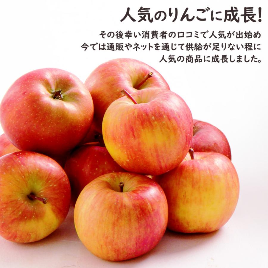 青森県 こみつりんご 約2kg 6-13玉入 高徳 りんご リンゴ 林檎