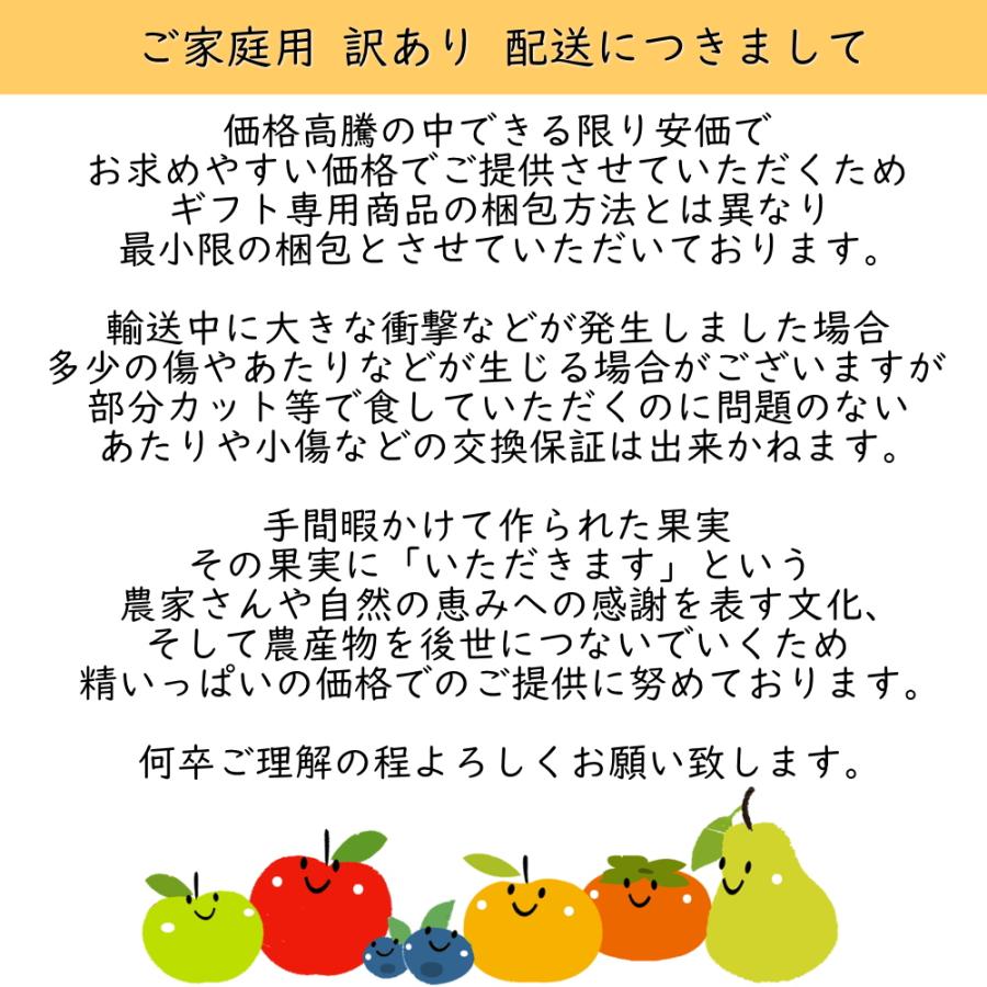 青森県産 りんご こみつりんご コミツリンゴ 林檎 高徳 蜜入り 約 1.8