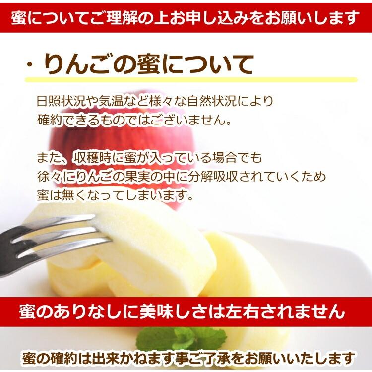 予約】青森県産 りんご こみつりんご コミツリンゴ 林檎 高徳 蜜入り