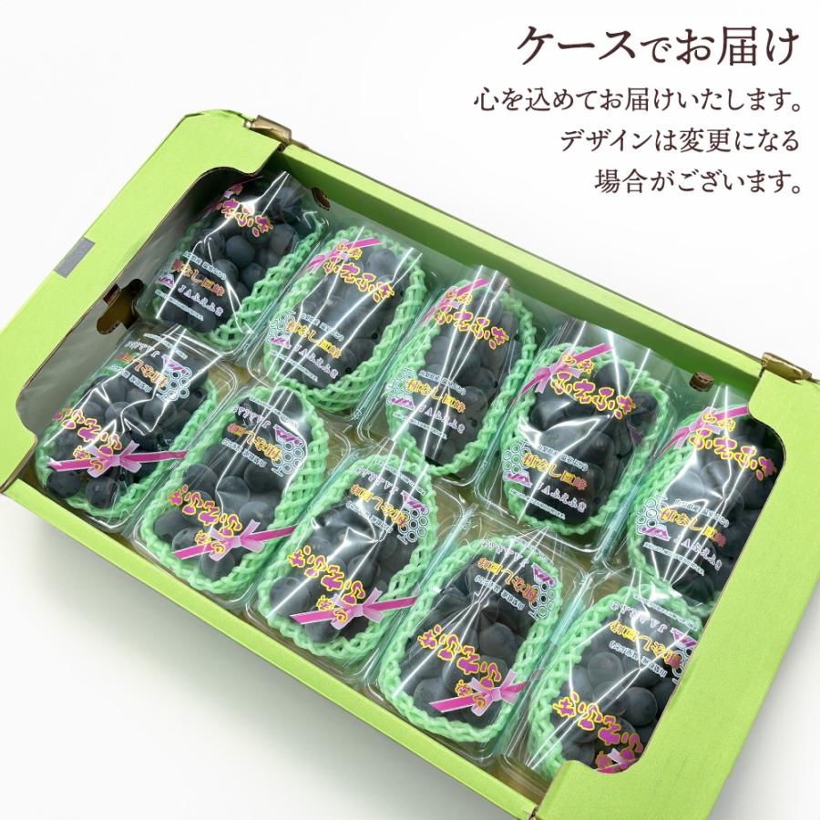 種無し巨峰 種なし巨峰 種なし 10房 約3.5kg 山梨県 ぶどう 黒ぶどう