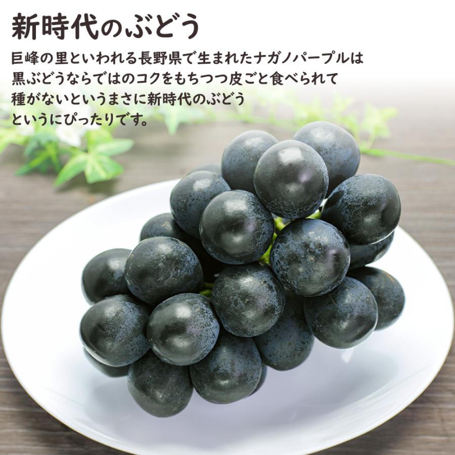 ナガノパープル 種無し で 皮ごと食べられる ぶどう 400g 2房 長野