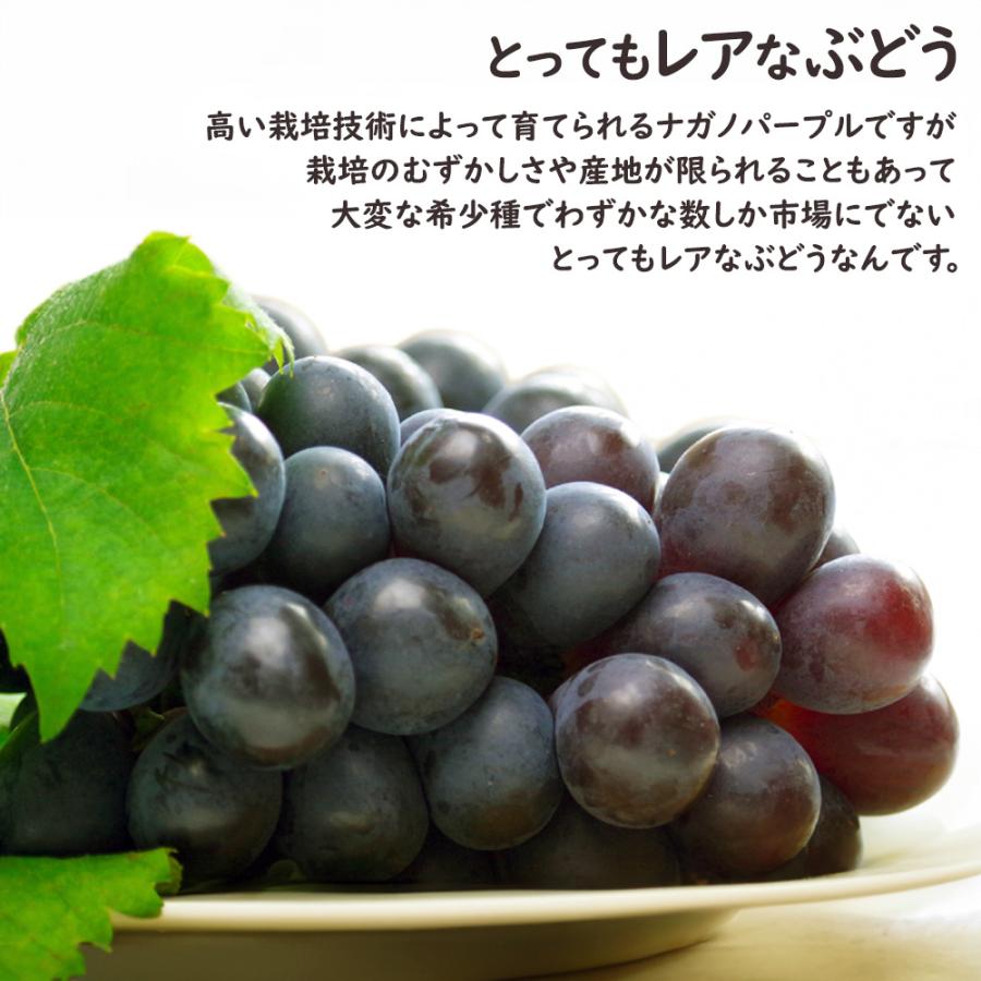 ナガノパープル 種無し で 皮ごと食べられる ぶどう 400g 2房 長野