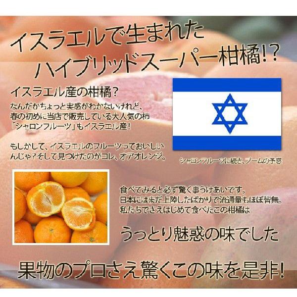 送料無料 みかん感覚で食べられるオアオレンジ 5kg オラオレンジ イスラエル産 Oraorange5 ほんまもん屋 Hanaファクトリー 通販 Yahoo ショッピング