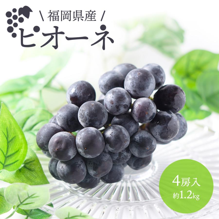 ピオーネ ぴおーね 種無し 種なし 4房 約1.2kg 福岡県 ぶどう ブドウ