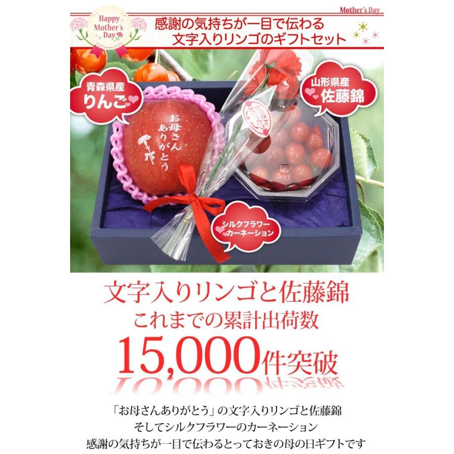 母の日 フルーツ ギフト さくらんぼ 佐藤錦 と文字入りりんごセット シルクフラワー カーネーション 付き 21 Ringocherry ほんまもん屋 Hanaファクトリー 通販 Yahoo ショッピング