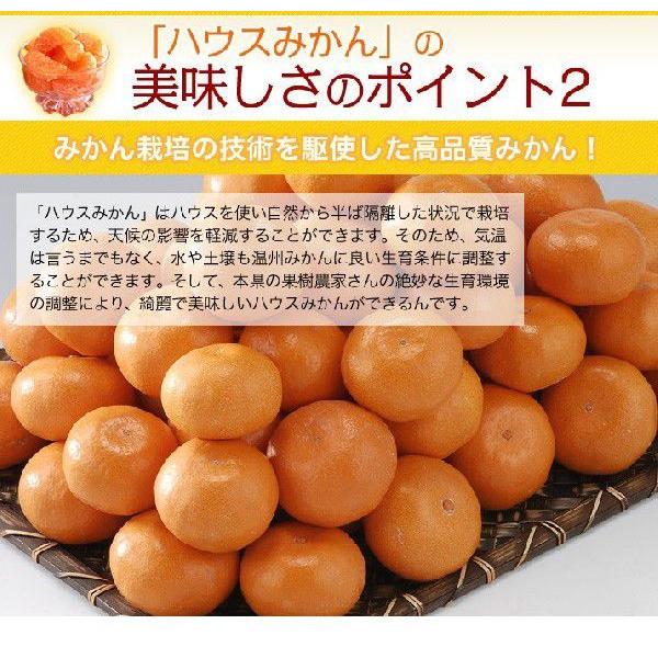 佐賀県産 ハウス みかん 5kg お中元 ギフト 送料無料 果物ギフト